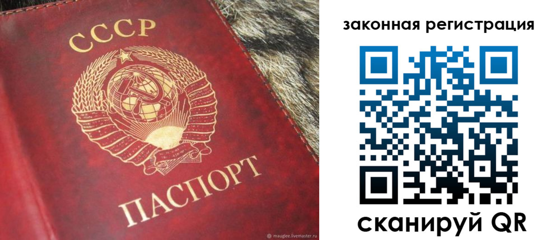 прописка от собственника в Жердевке